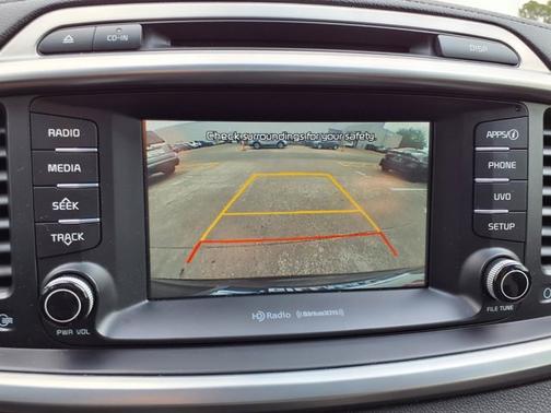 Polished Walnut 2017 Kia Sorento EX