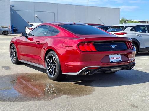 Red 2019 Ford Mustang EcoBoost