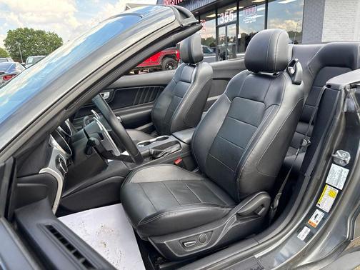 Magnetic Metallic 2019 Ford Mustang GT Premium