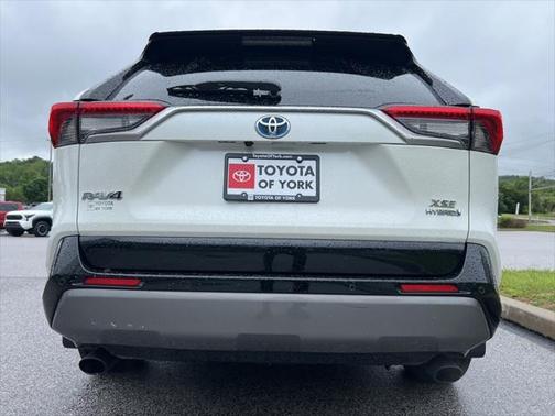 2019 Toyota RAV4 Hybrid SE