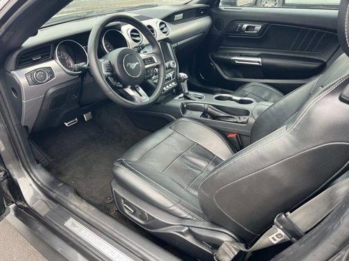Magnetic 2019 Ford Mustang EcoBoost Premium