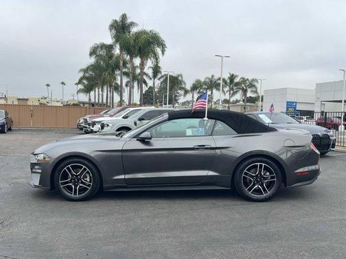 Magnetic 2019 Ford Mustang EcoBoost Premium