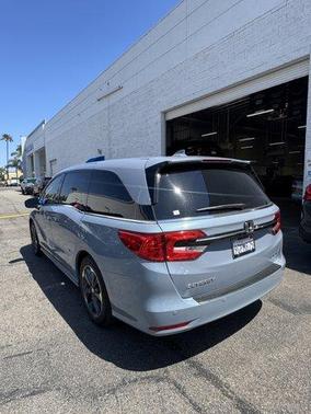 Gray Pearl 2023 Honda Odyssey Elite