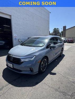 Gray Pearl 2023 Honda Odyssey Elite