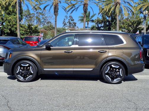 Dark Moss 2023 Kia Telluride EX