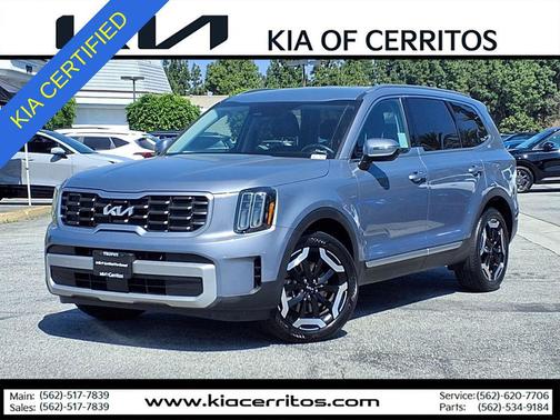 Everlasting Silver 2024 Kia Telluride S