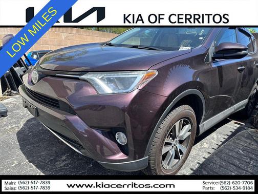 Black Currant Metallic 2018 Toyota RAV4 XLE