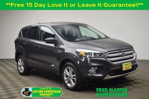 Magnetic 2019 Ford Escape SE