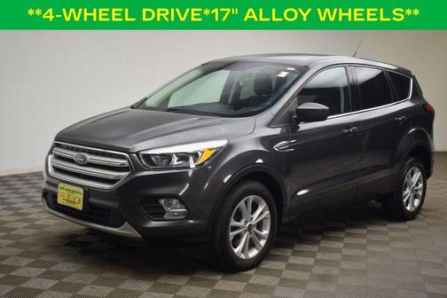 Magnetic 2019 Ford Escape SE