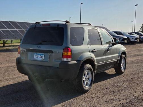 Titanium Green Clearcoat Metallic 2007 Ford Escape XLT
