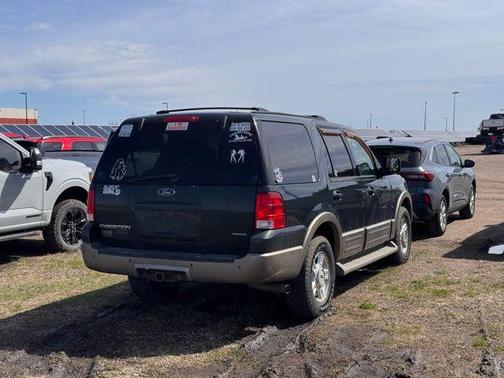 Estate Green Clearcoat Metallic 2003 Ford Expedition Eddie Bauer