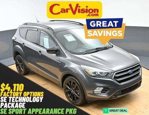 Magnetic 2017 Ford Escape SE