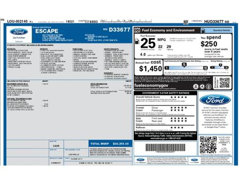 Magnetic 2017 Ford Escape SE