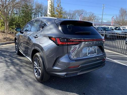 2025 Lexus NX 250 Premium