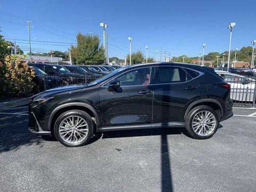 2024 Lexus NX 350h Luxury