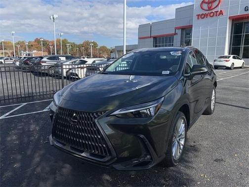 2024 Lexus NX 350h Luxury