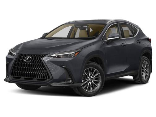 Cloudburst Gray 2022 Lexus NX 350 Premium
