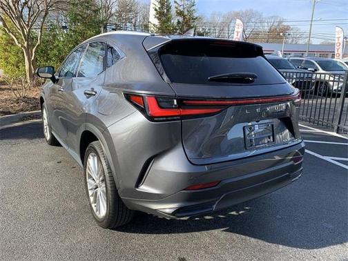 2024 Lexus NX 350h Luxury