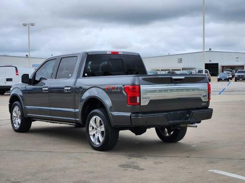 2019 Ford F-150 Platinum