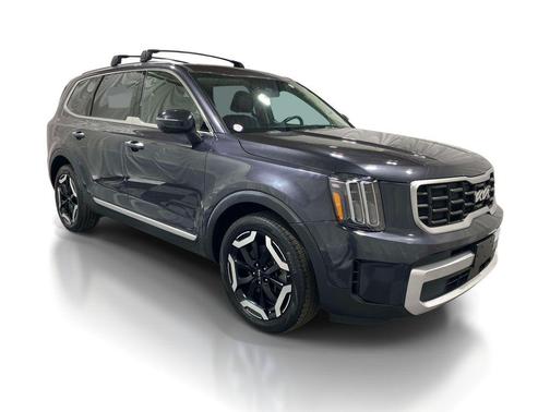 Panthera Metal 2025 Kia Telluride S