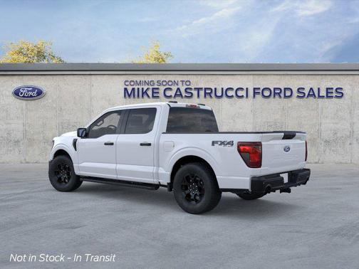 2025 Ford F-150 STX