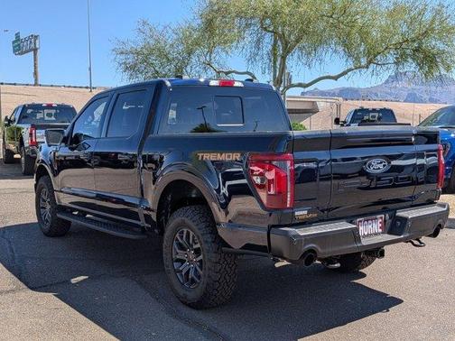 Agate Black Metallic 2025 Ford F-150 Tremor