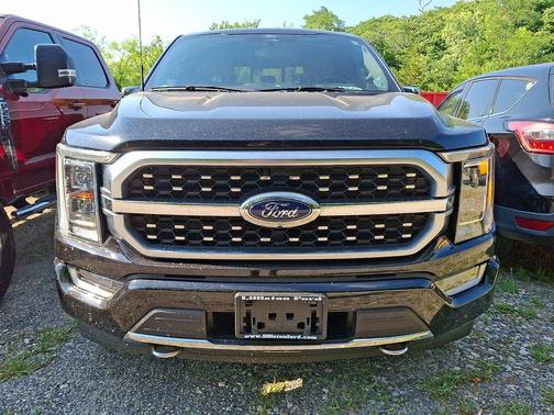 Black 2022 Ford F-150 Platinum