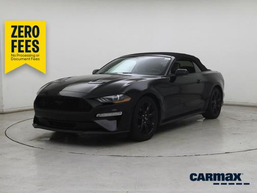 Black 2019 Ford Mustang Ecoboost