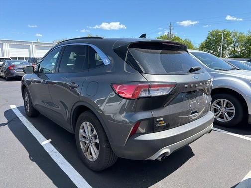 Magnetic 2020 Ford Escape SE