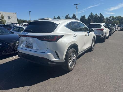2025 Lexus NX 350 Premium