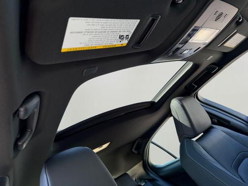 Iridium 2026 Lexus UX 300h Premium