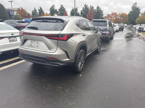 2025 Lexus NX 350 Premium