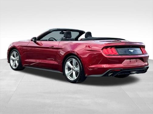 2019 Ford Mustang EcoBoost