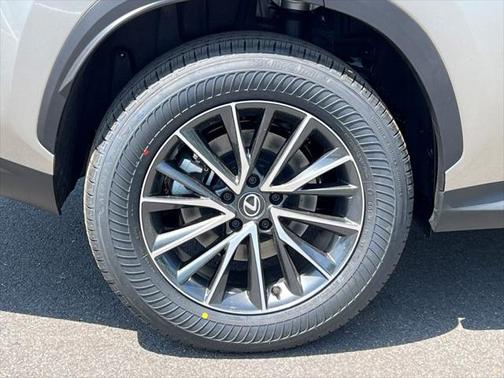 2025 Lexus NX 350 350 Base