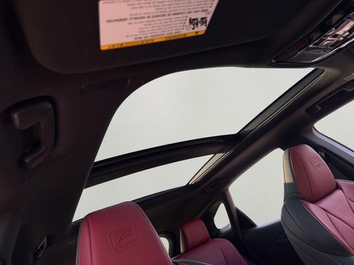 Incognito 2026 Lexus RX 350 F SPORT Handling