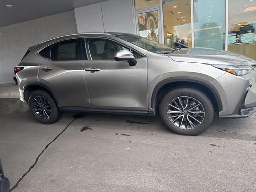 2025 Lexus NX 350 Premium
