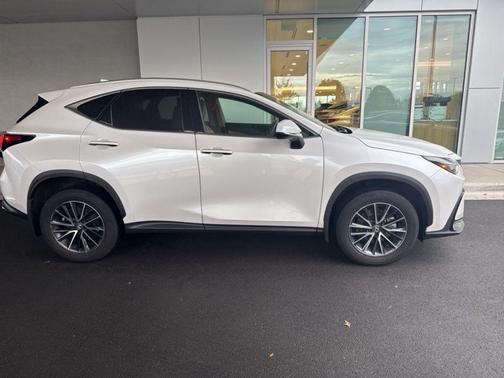 2024 Lexus NX 350h AWD