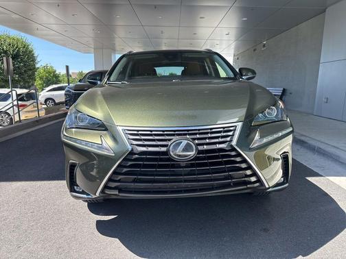Green Pearl 2021 Lexus NX 300 Base
