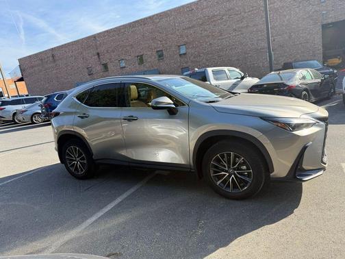 2025 Lexus NX 250 Base
