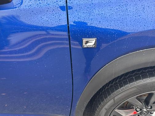 2020 Lexus NX 300 F Sport