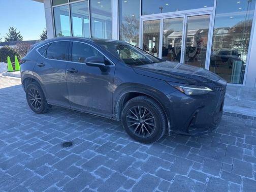2024 Lexus NX 350 Premium