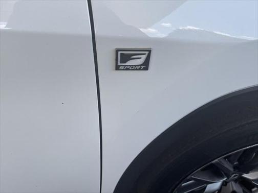 2022 Lexus RX 350 F SPORT Appearance
