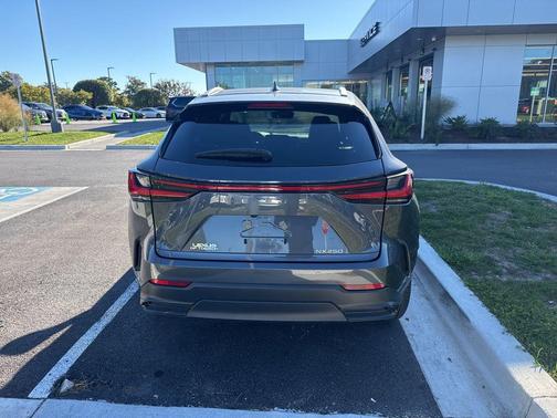 2023 Lexus NX 250 Premium