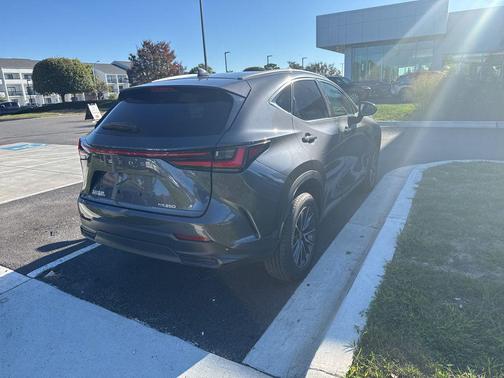 2023 Lexus NX 250 Premium