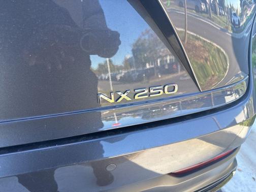 2023 Lexus NX 250 Premium