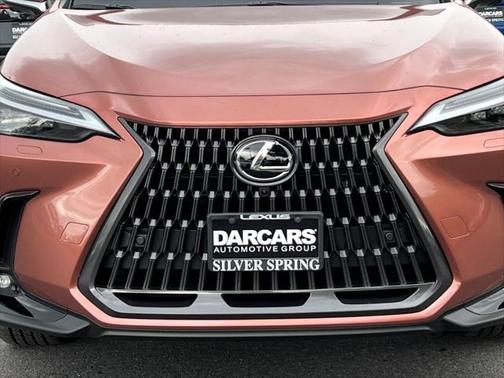 2025 Lexus NX 450h+ Luxury
