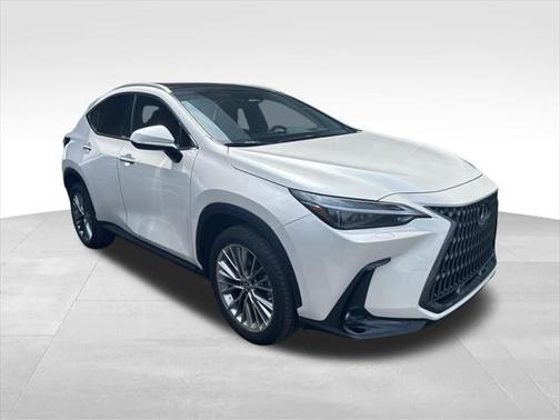 2022 Lexus NX 350 Luxury