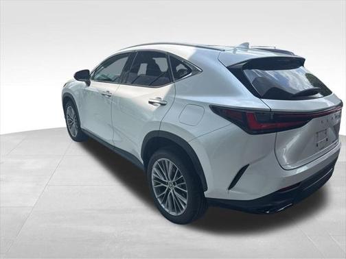 2022 Lexus NX 350 Luxury