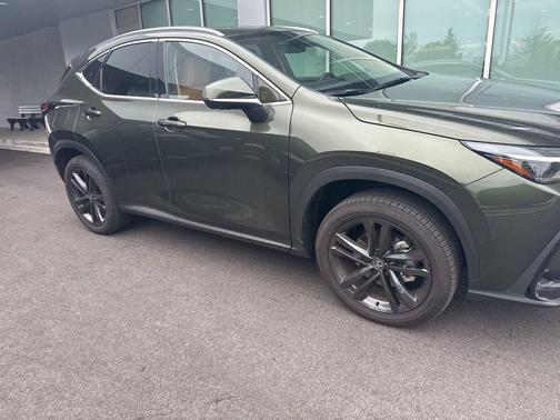 2025 Lexus NX 450h+ Luxury