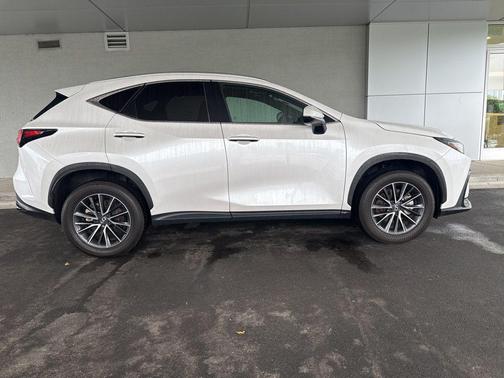 White Pearl 2025 Lexus NX 250 Premium